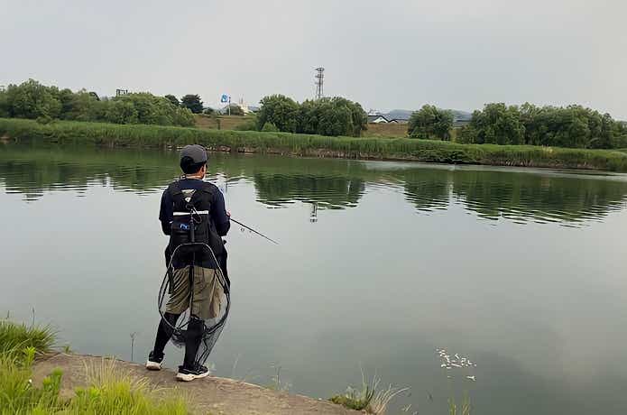 シーバス釣り