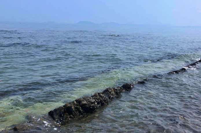 トップチニングで狙う地形