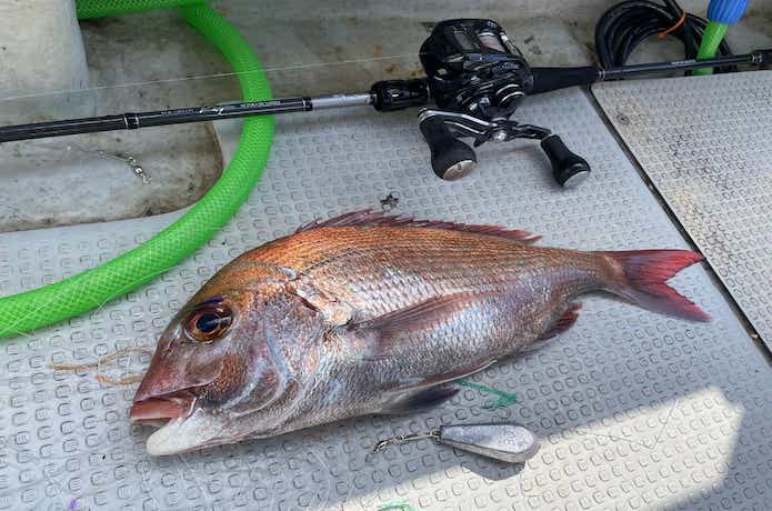 タイラバに代用できるロッド