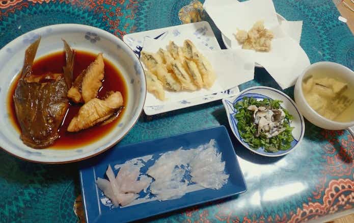 マゴチ料理