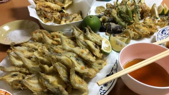 大量に釣れた豆アジ料理