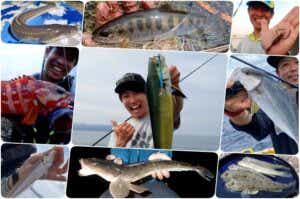 7月に釣れる魚