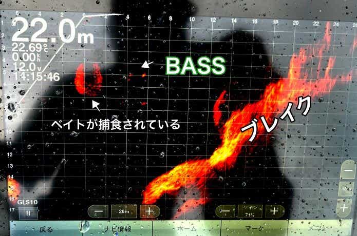魚探の画面