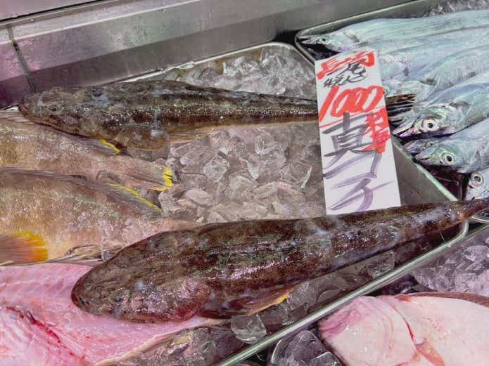鮮魚店のマゴチ