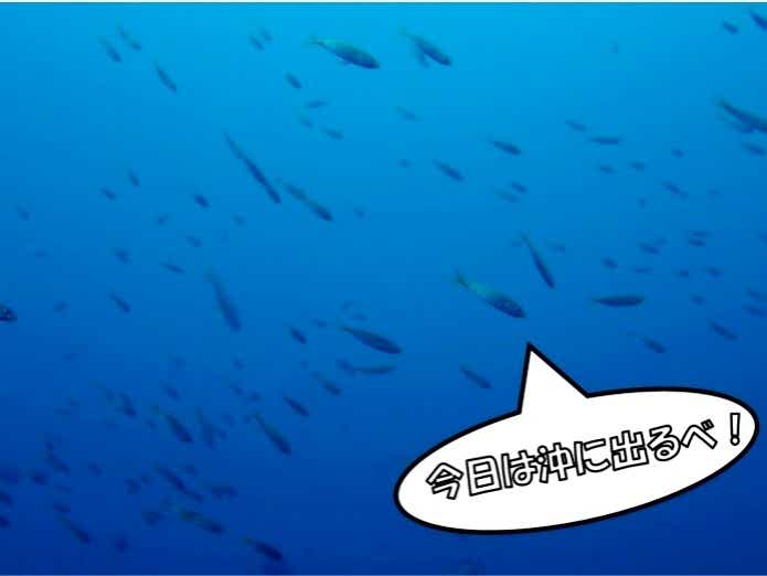 水中のアジ