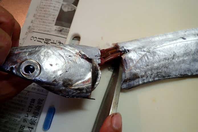 タチウオ捌き方