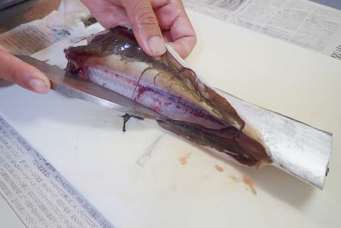 タチウオ捌き方