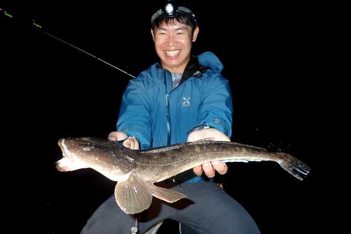 マゴチ釣り