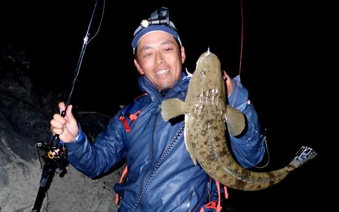 マゴチ