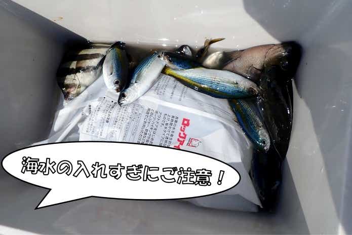 8月の釣りの必需品クーラーボックス