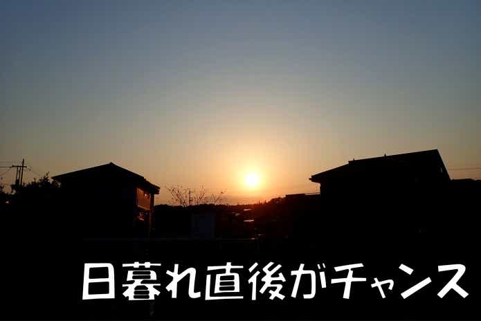 ウナギ釣りは日暮れ直後がチャンス
