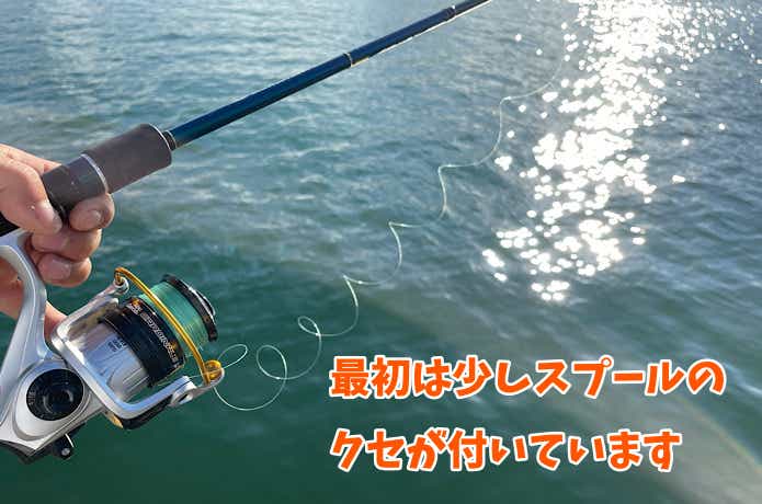 カーディナル3 Cardinal Ⅲ SX (カーディナル3 SX)｜AbuGarcia｜釣具の総合