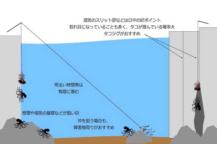 日中のタコ釣り