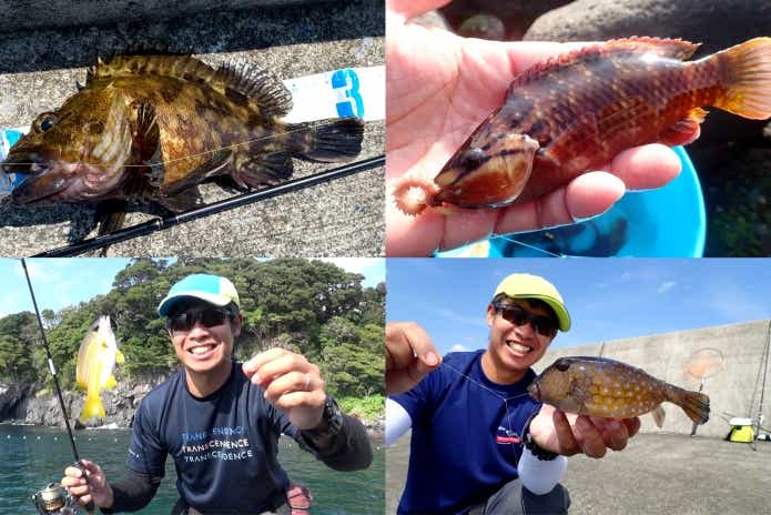 堤防に居着く魚たち