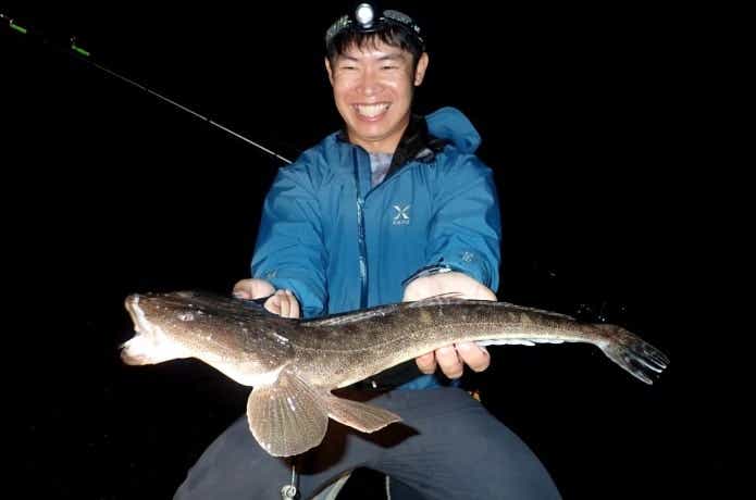 夏の夜釣り