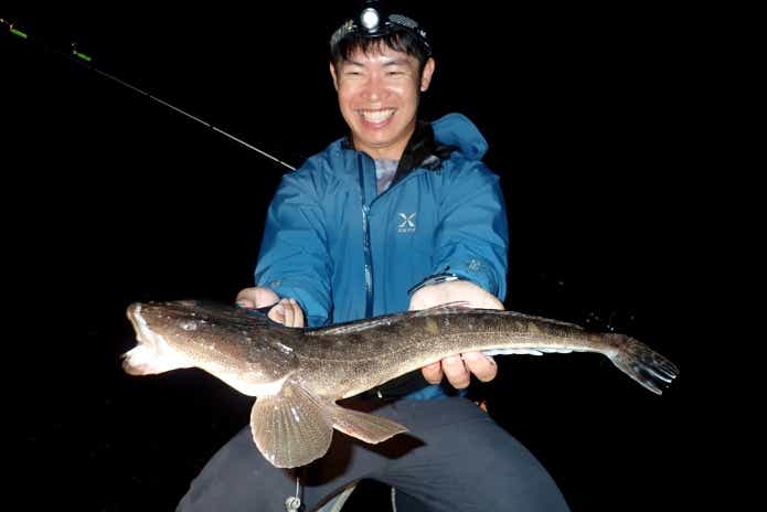 夏の夜釣り