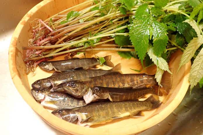 渓流魚食べる