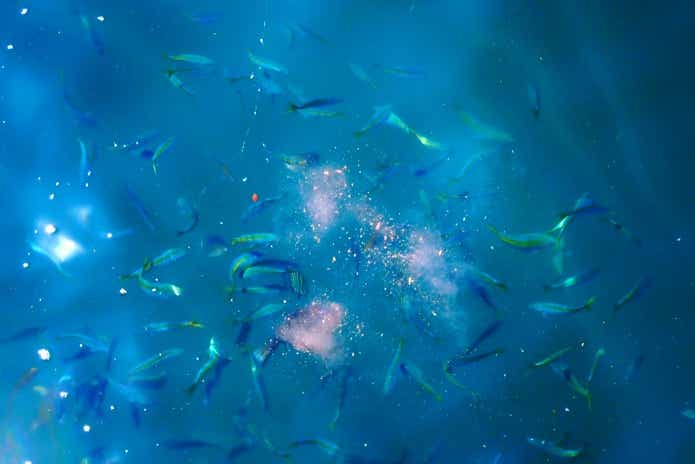 真夏(8月)の釣り