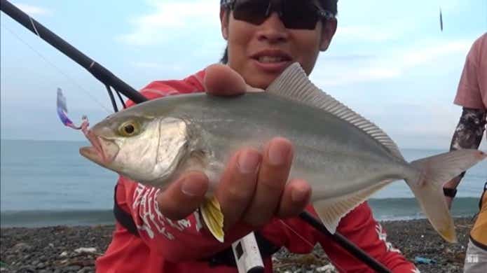 8月青物釣り