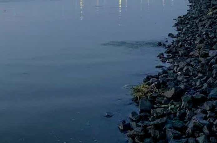 河川のシャロー