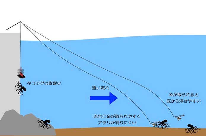 大潮のタコ釣り