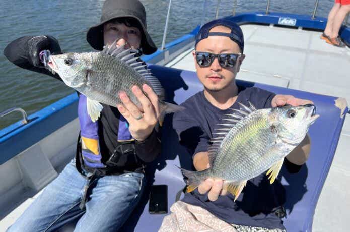 東京湾チニングの釣果