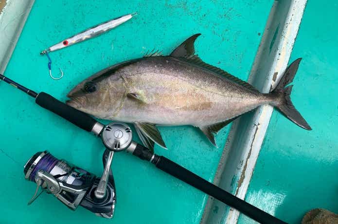 伊豆大島のジギングタックル