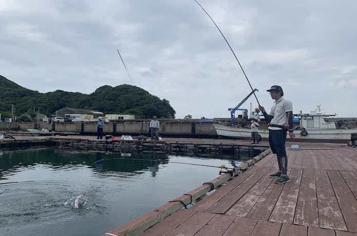 海上釣堀アルティメイトスペックで真鯛釣り