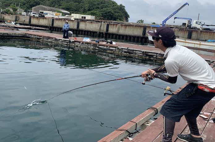 海上釣堀アルティメイトスペックで青物釣り
