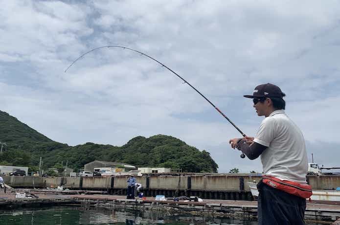 泳がせ330