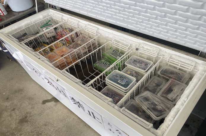 淡路じゃのひれフィッシングパークで売られているエサ