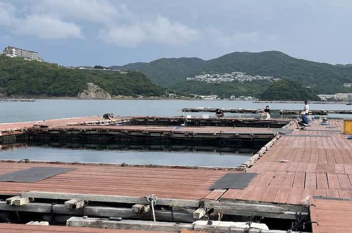 淡路じゃのひれフィッシングパークの貸切コース