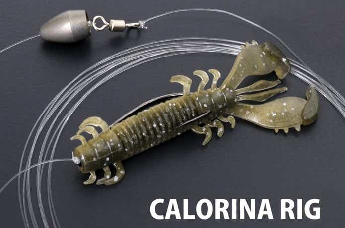 デプス MSクローのキャロライナ