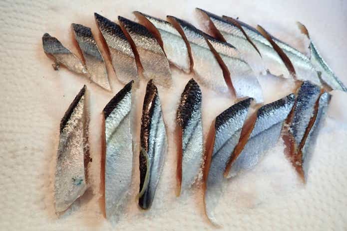 夜アナゴ釣りの餌