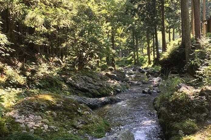 フォレスト・イン 洞川キャンプ場