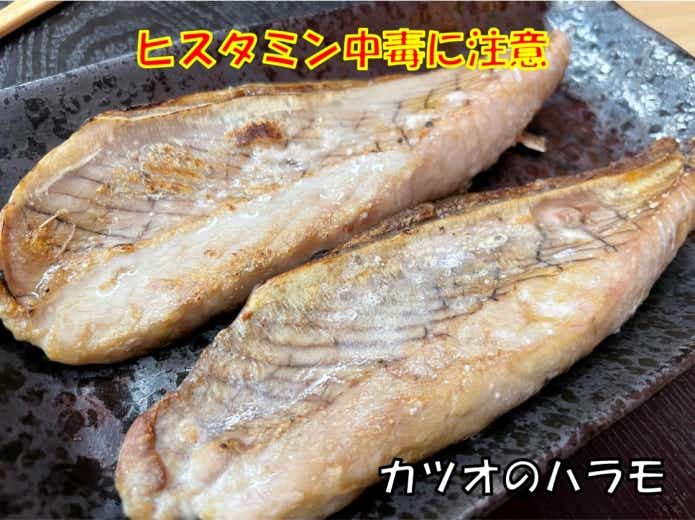 魚ヒスタミン中毒