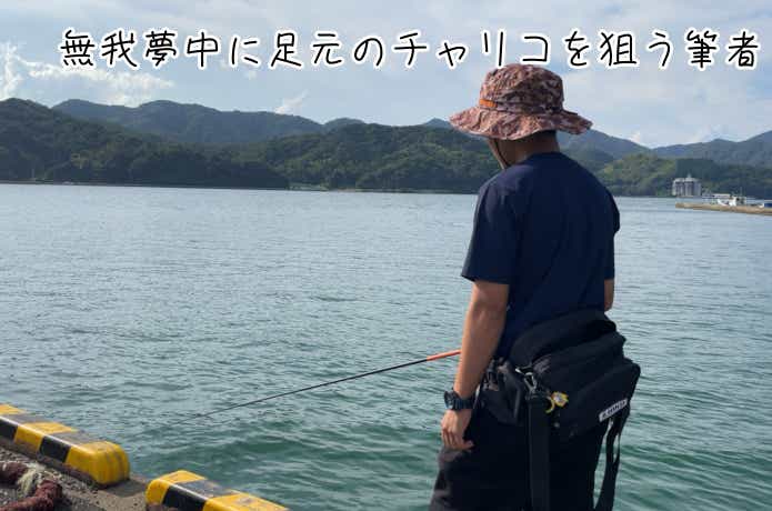 のべ竿アジングで足元を狙う