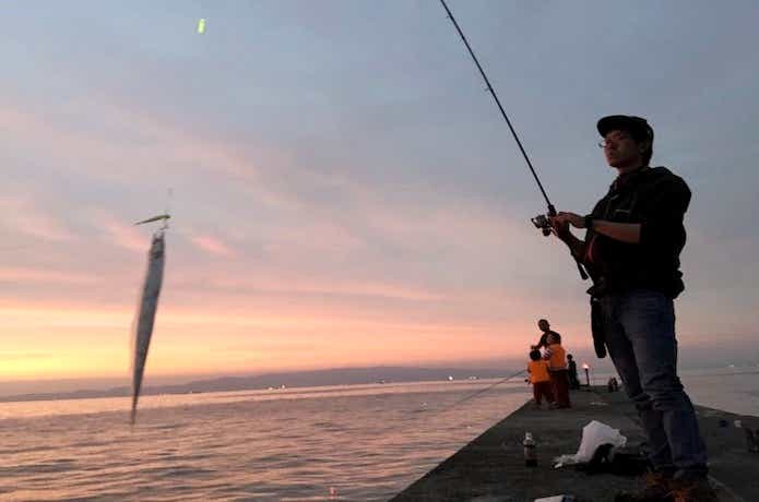 9月釣れる釣り物タチウオ