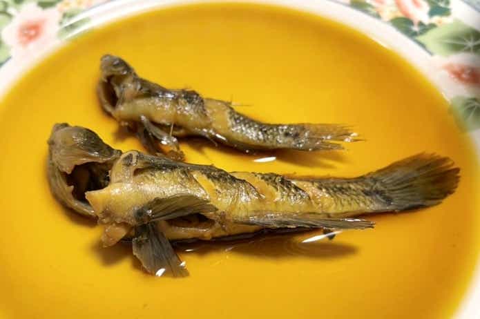ウロハゼ煮付け