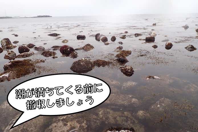 タイドプールが満ち潮でなくなる