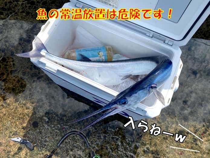 釣った魚の常温放置による腸炎ビブリオによる食中毒