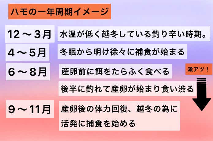 ハモの年間の動き