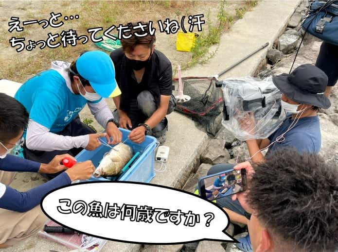 魚の調査　年齢