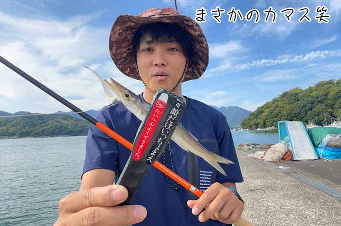 のべ竿アジングで釣れたカマス