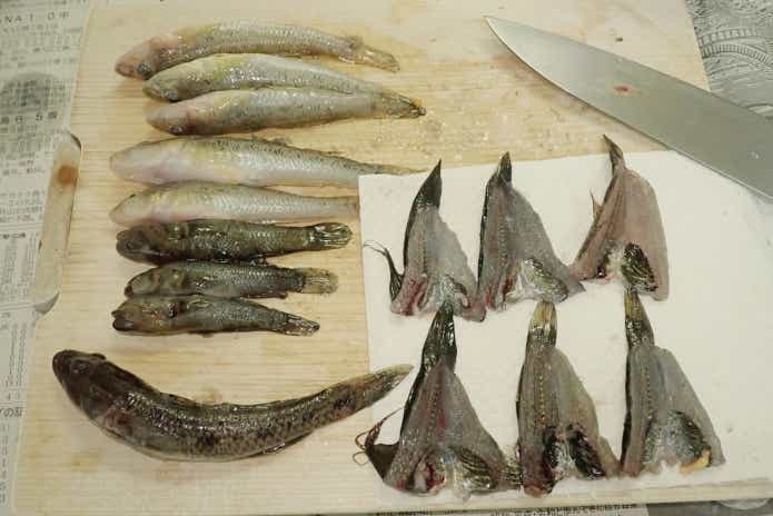 ヌマチチブ料理下処理