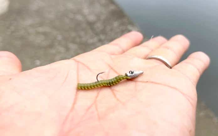 ワームでハゼを釣るコツ