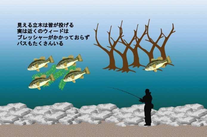 有名なストラクチャーの近くにあるポイント