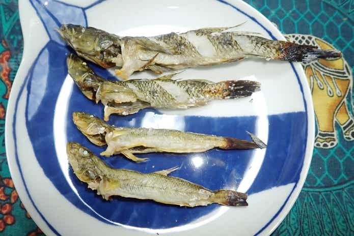 ウロハゼ塩焼き