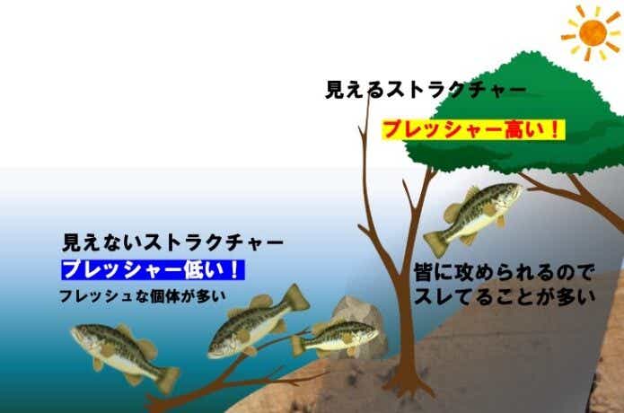 水中にあって見えないポイント