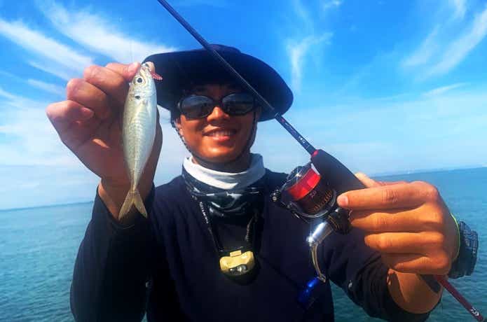 月下美人EXで釣った豆アジ